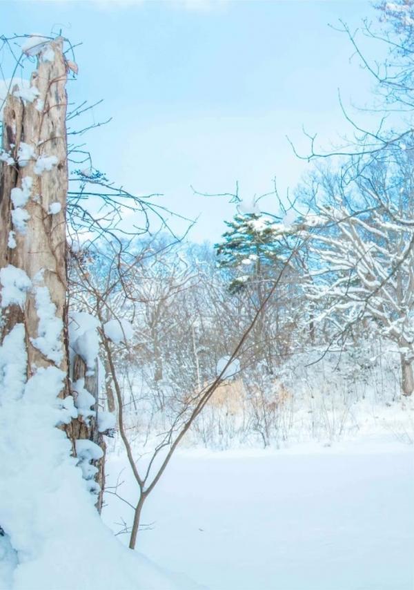 Whoseman-10-犬系男孩-安東尼-北海道特別企劃